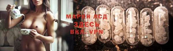 сатива Абинск