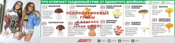 молекула духа Алзамай