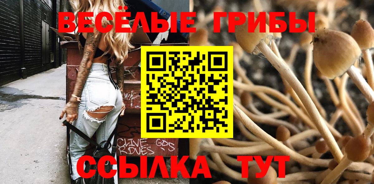 Галлюциногенные грибы мухоморы Морозовск