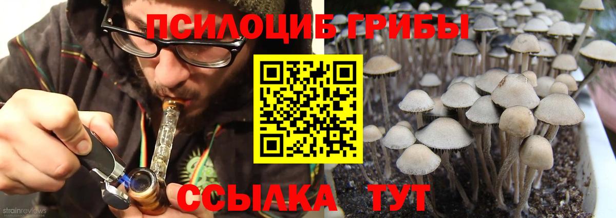 Псилоцибиновые грибы Cubensis  Галлюциногенные грибы Psilocybe  магазин    Морозовск  Вход с VPN 